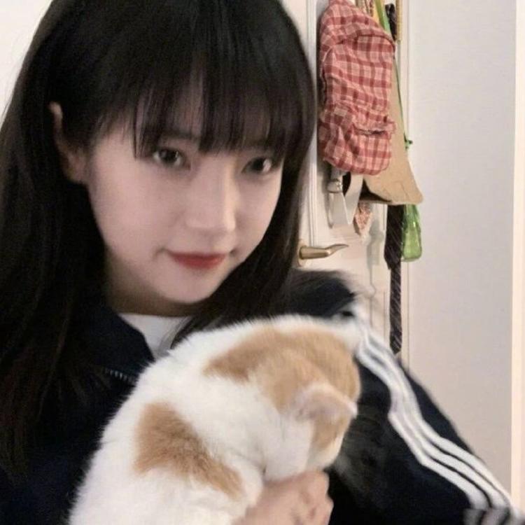 永野芽郁（饰 三条燕） - 独播剧场VIP在线观看 - APP影视